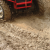 quad review
